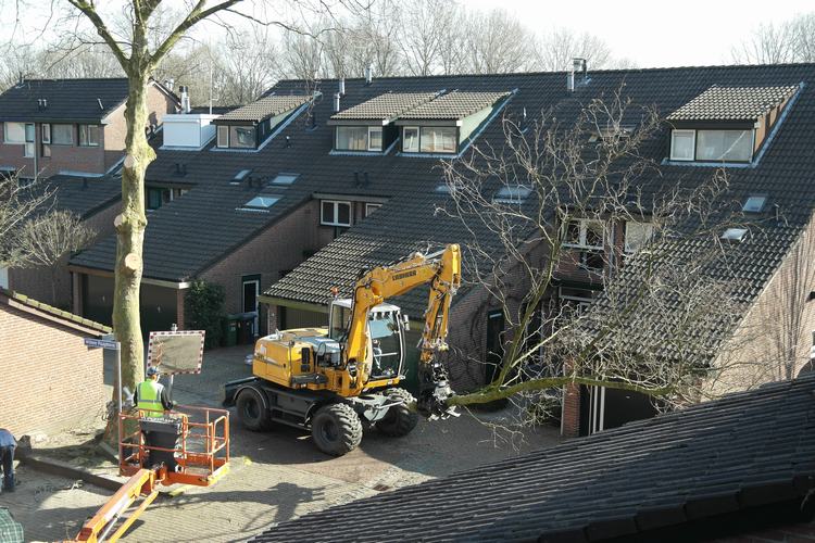 De Loof grond & cultuurtechniek heeft in Zoetermeer Bomen bij gesnoeid